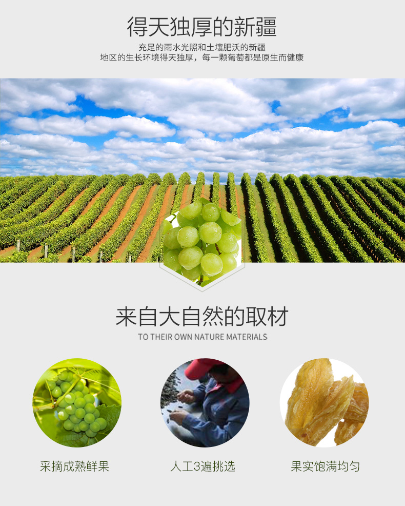 新疆吐鲁番四色葡萄干混装250g-2500g规格可选